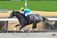 ドラゴンウェルズ