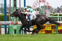 シーギリヤロック