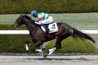 アロマフェリス