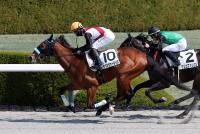 ラヴネヴァーダイズ