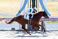 セルジュバローズ