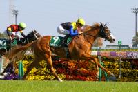 <strong>ダイヤモンドノット</strong>