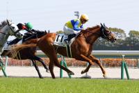 エアビッグマム