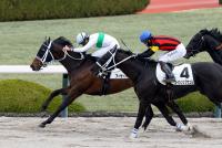 アーサーバローズ