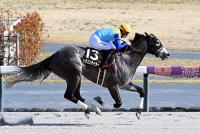 ドラゴンテイラー