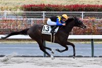 テルアスワッド