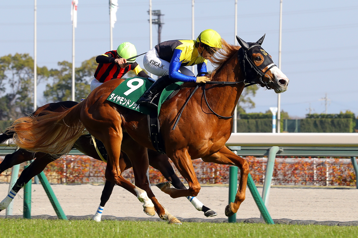 函館２歳Ｓ勝ち馬エイシンディードに１馬身1/4差を付けて、１番人気に応えたダイヤモンドノット