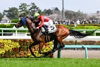 リーティアコナル