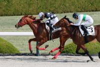 ゴールドヴィーナス