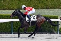 レッドレベンディス