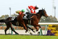 ルージュソリテール