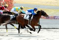 ロイヤルスパイア