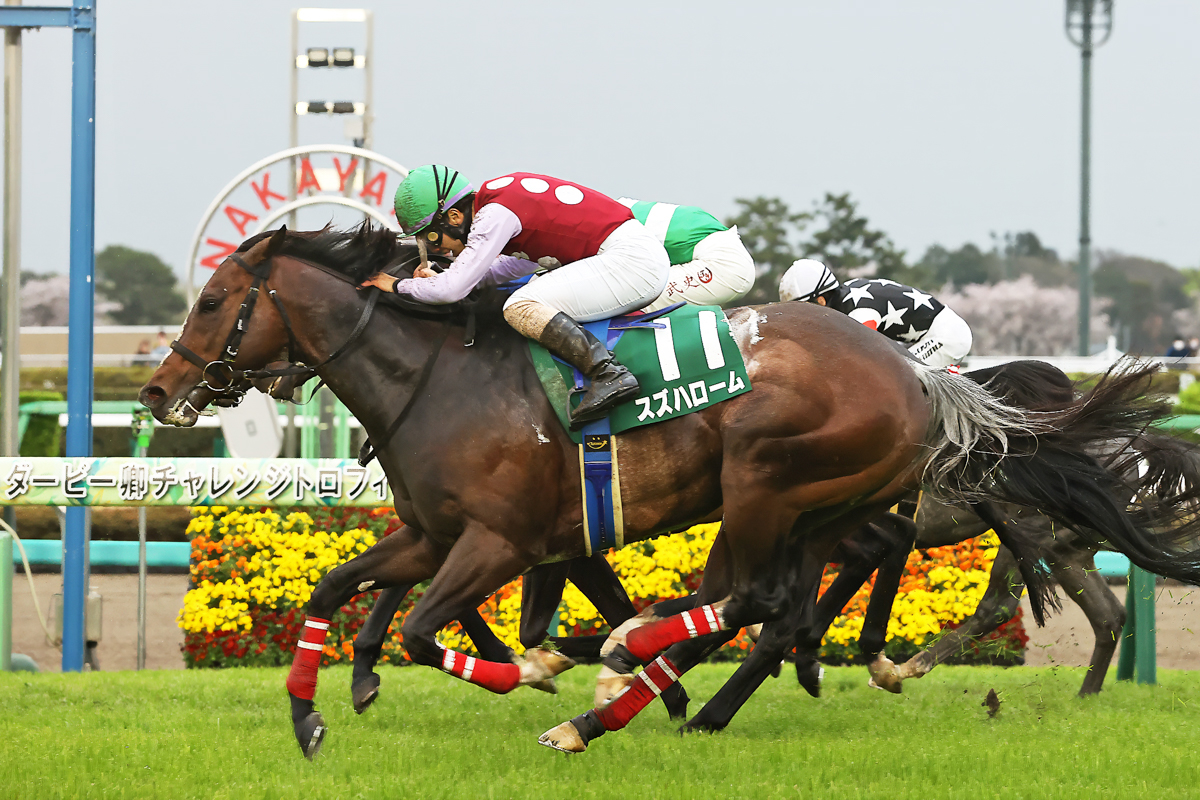 サイルーン、ファーヴェントをアタマ、ハナ差差し切り、３頭の大接戦を制したスズハローム