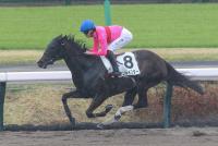 カンレイスター