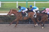 オリーブグリーン