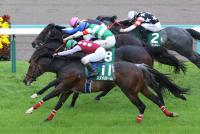 <strong>スズハローム</strong>