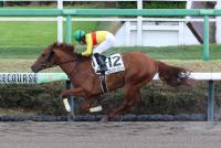 コパノヴィンセント