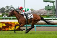 リバーバレイト