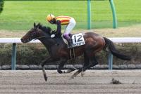 シャンデルナゴル