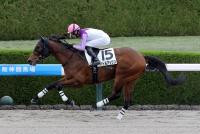 バトルアックス