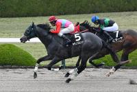 キタノズエッジ