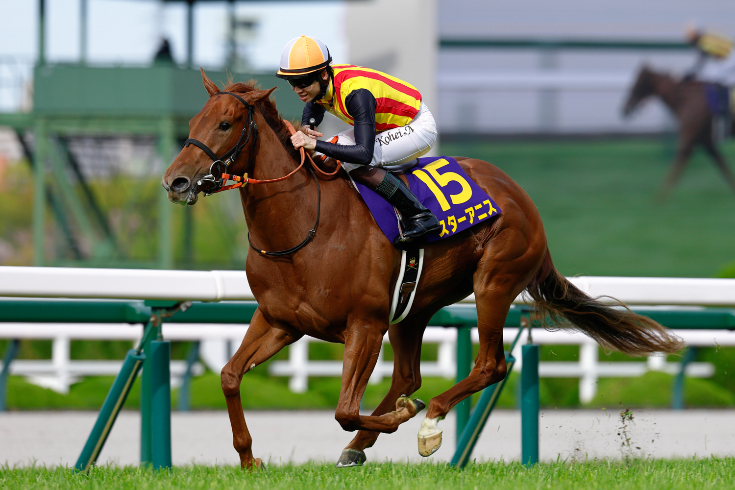 直線鮮やかに抜け出したスターアニスが阪神ジュベナイルフィリーズに続きＧⅠ連勝でクラシック制覇を成し遂げた