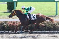 アスコットヴェール