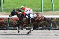 タカスタカスタカス