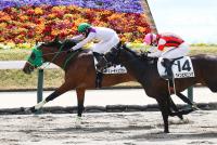 シューティングガイ