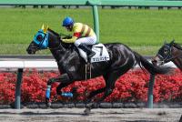 マリンバンカー