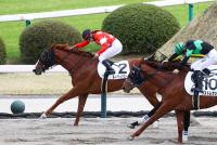 ルージュマローネ