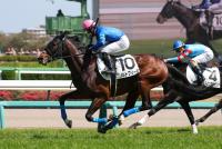 ソルトブリーズ