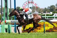 ブラックジェダイト