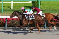 ヴィンブルレー