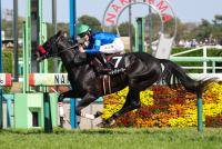 ストレイトトーカー