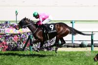 ビップチェイス