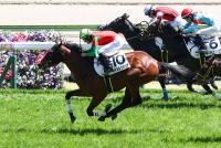 マイネルクオリア