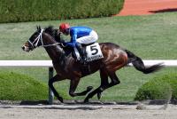 ゼロヴィジビリティ