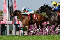 <strong>エンブロイダリー</strong>