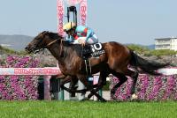 ウィクトルウェルス