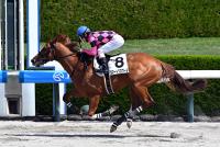 スマートグロワール