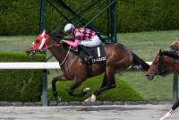 スマートカイロス