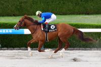 ダブルジョーク