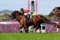 マイネルエニグマ