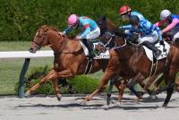 ソニックステップ