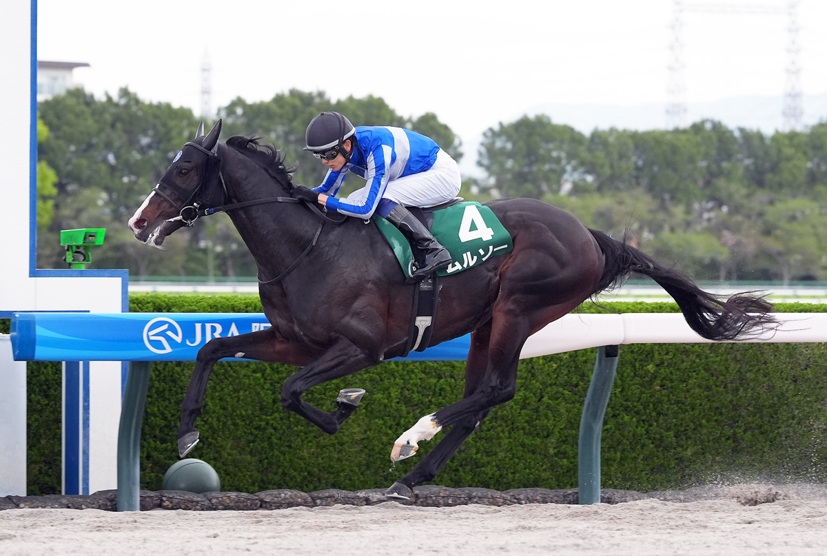 モックモックに１馬身半差を付けて逃げ切り、2024年ユニコーンＳ(５着)以来２回目の挑戦で重賞初制覇