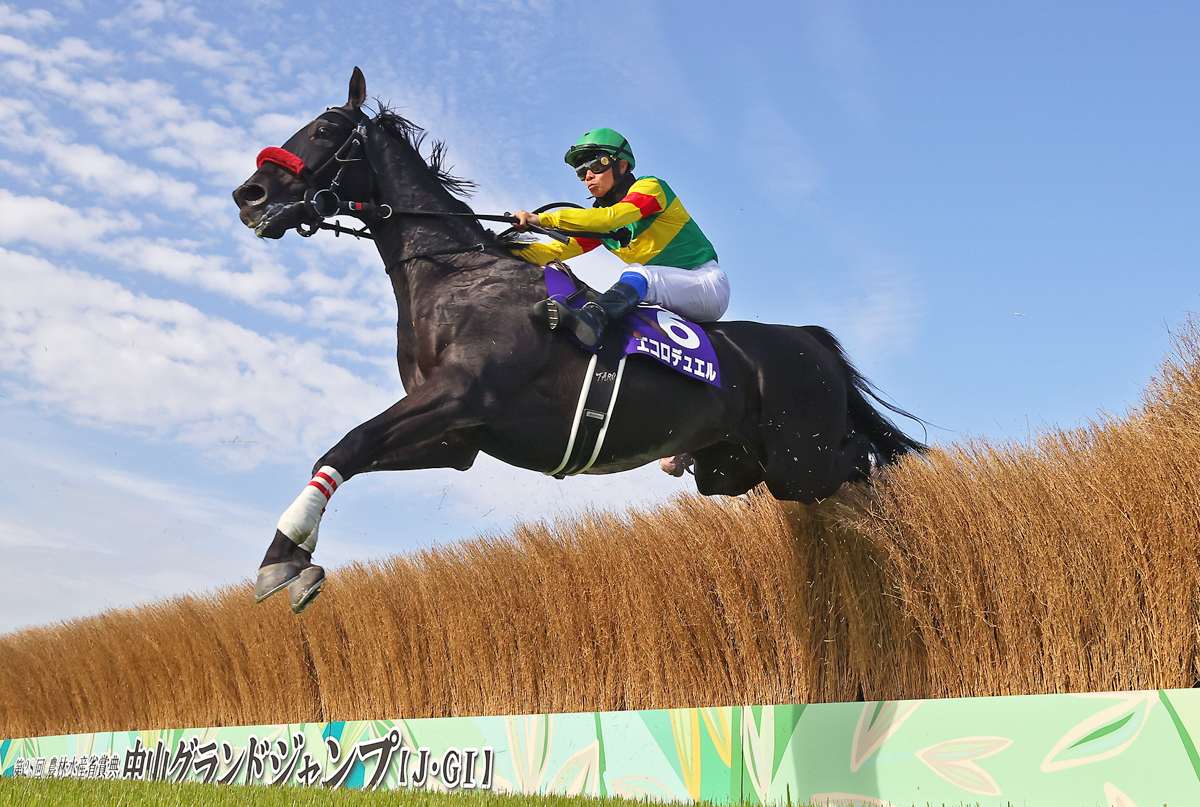 ゴーカイ、カラジ、オジュウチョウサン、イロゴトシに次ぐ史上５頭目の中山グランドジャンプ連覇達成