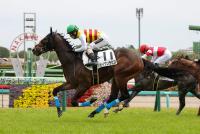 セイウンラピス