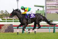 <strong>エコロデュエル</strong>