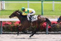 ベアゴーフォー